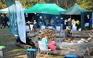 Ptasi piknik nad Zalewem Wiślanym. To jedno z niewielu takich miejsc w Europie Ptasi piknik nad Zalewem Wiślanym. To jedno z niewielu takich miejsc w Europie
